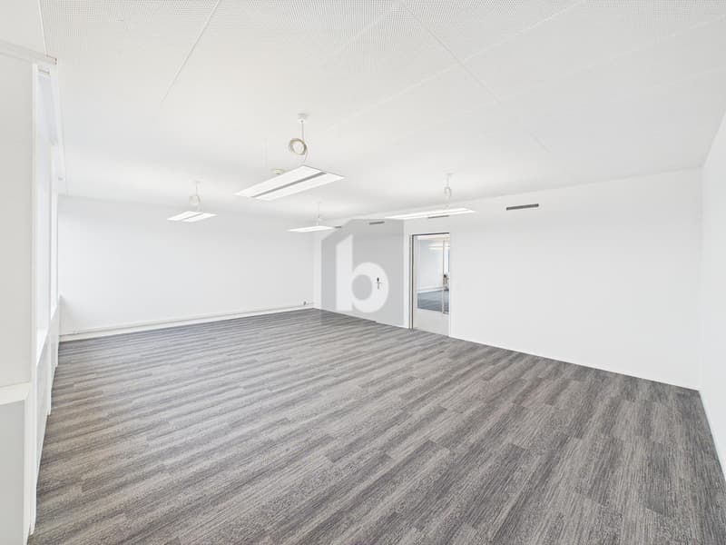 PRAKTISCH UND FRISCH RENOVIERT (BÜRO 4.03) (5)
