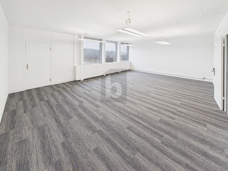 PRAKTISCH UND FRISCH RENOVIERT (BÜRO 4.03) (4)