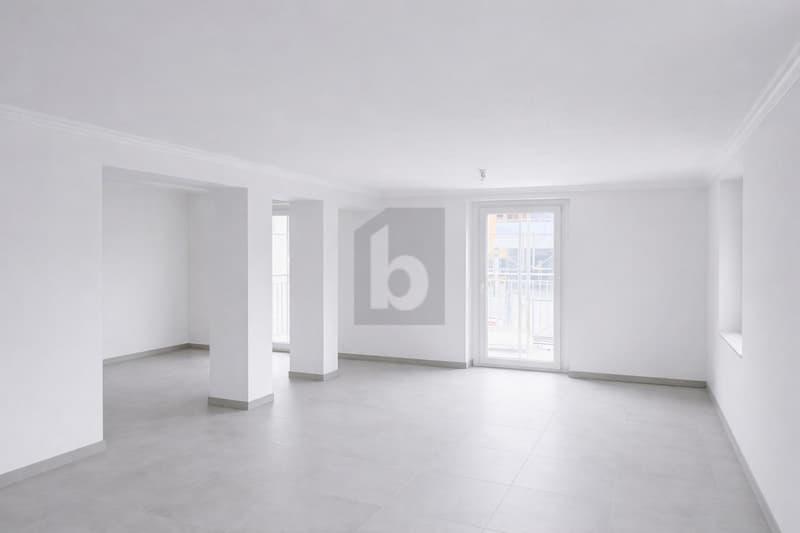 RARE, LUMINEUX, FONCTIONNEL ET ÉCO-RESPONSABLE (4)