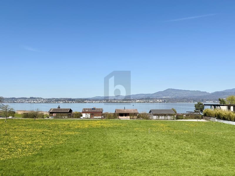 EXKLUSIV, SONNIG UND MIT BESTANDSIMMOBILIE (1)