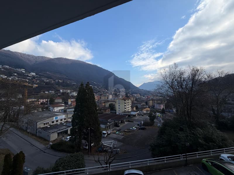 SPAZIOSA CON GIARDINO (1)