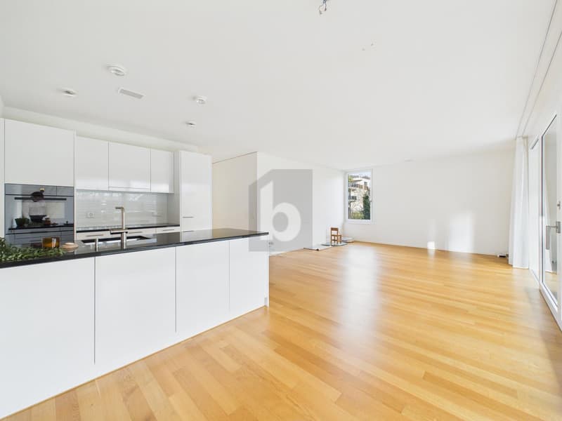 MIT GARTEN, WHIRLPOOL UND TIEFGARAGENPARKPLATZ (3)