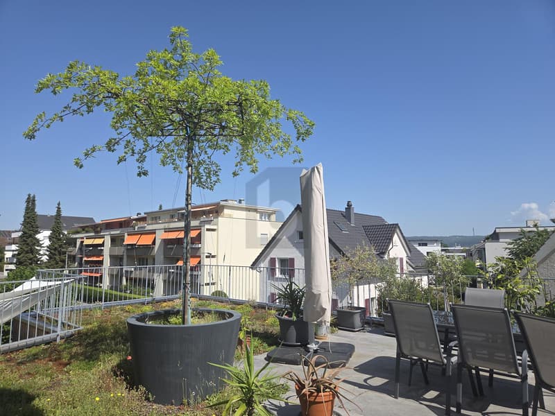 MIT 50M² SONNENTERRASSE! (1)