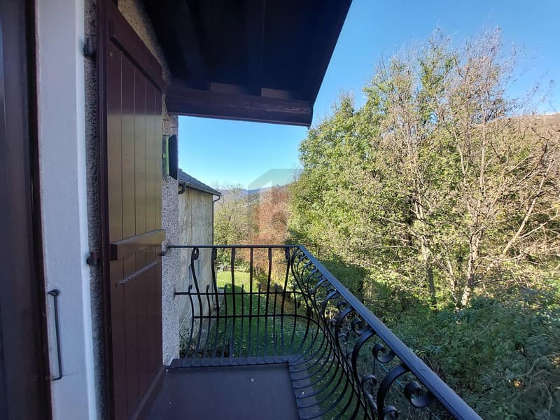 GRAZIOSA NEL VERDE DELLA VALCOLLA (2)