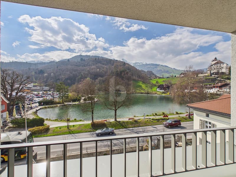NEUBAU AM WERDENBERGER SEE (B3O3) (4)