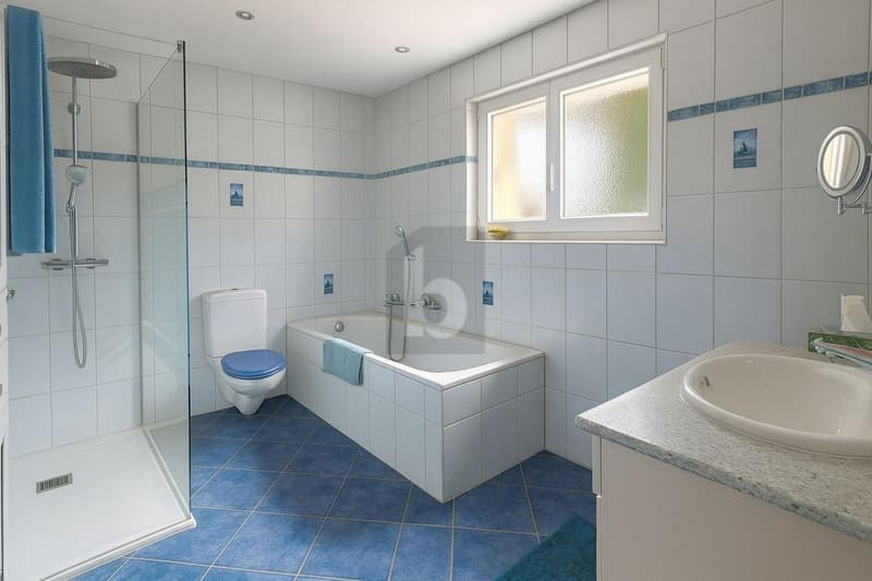 JOLIE MAISON DE 2 LOGEMENTS AU CALME (5)