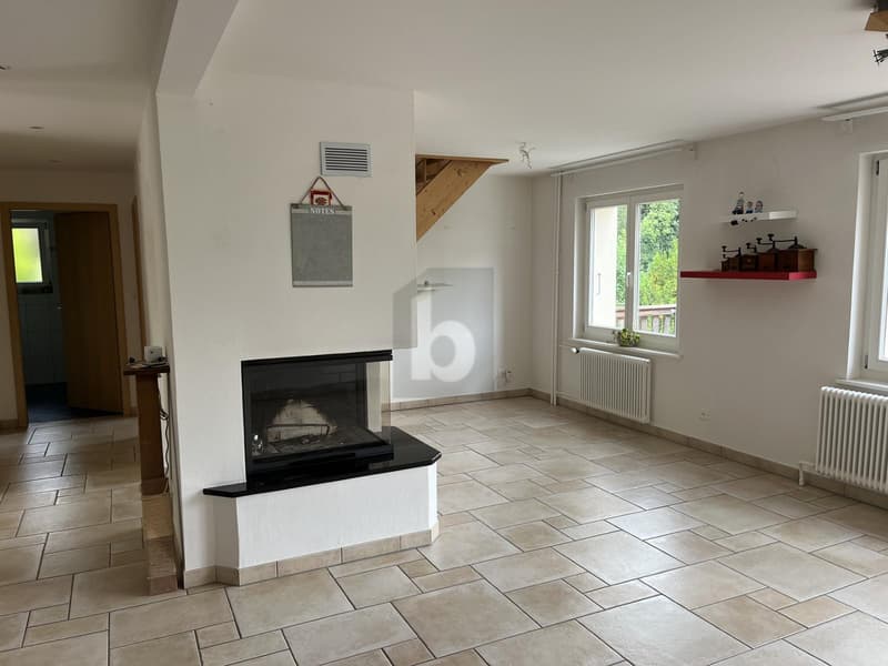 JOLIE MAISON DE 2 LOGEMENTS AU CALME (2)
