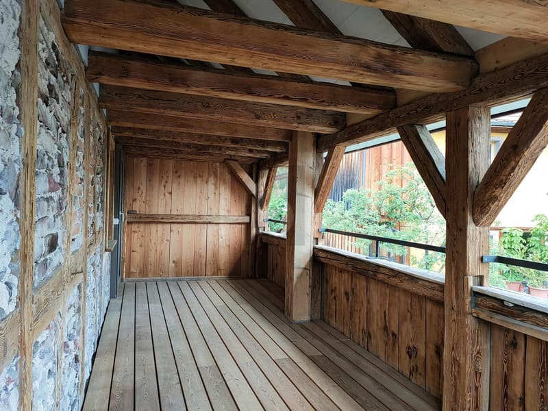 CHARMANT, HISTORISCH UND LICHTDURCHFLUTET (5)