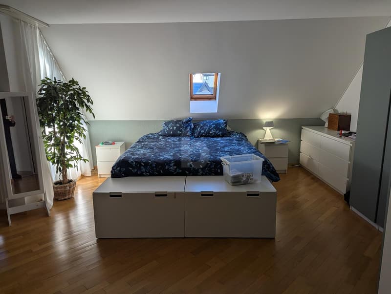 TOP FLOOR MIT CHEMINÉE UND GROSSER TERRASSE (4)