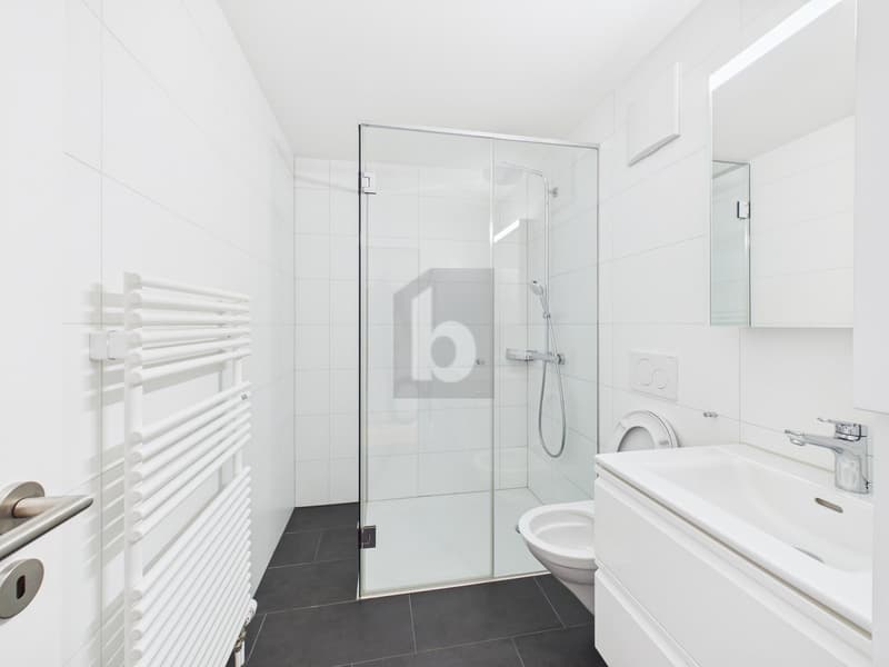 KERNSANIERT MIT SEEBLICK (5)