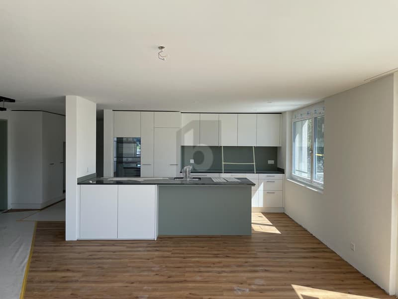 NEUBAU MIT WEITBLICK (4)