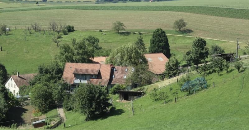 GROSSER UMSCHWUNG MIT 5 WOHNEINHEITEN (3)