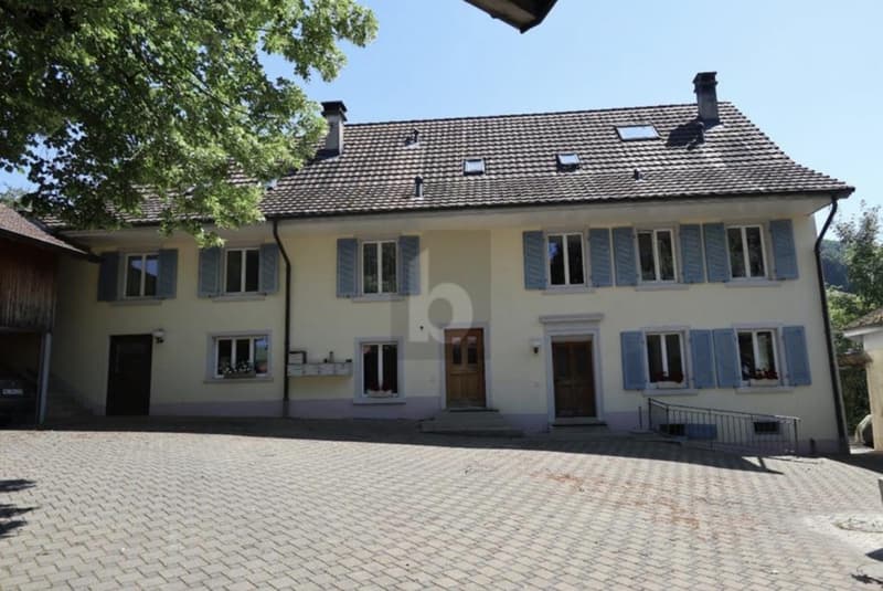 GROSSER UMSCHWUNG MIT 5 WOHNEINHEITEN (2)