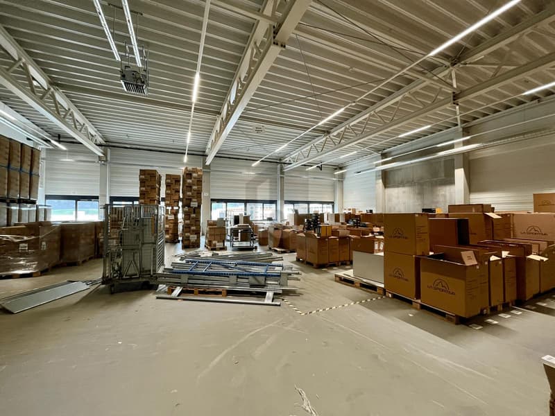 HELL MIT VIEL PLATZ (4)