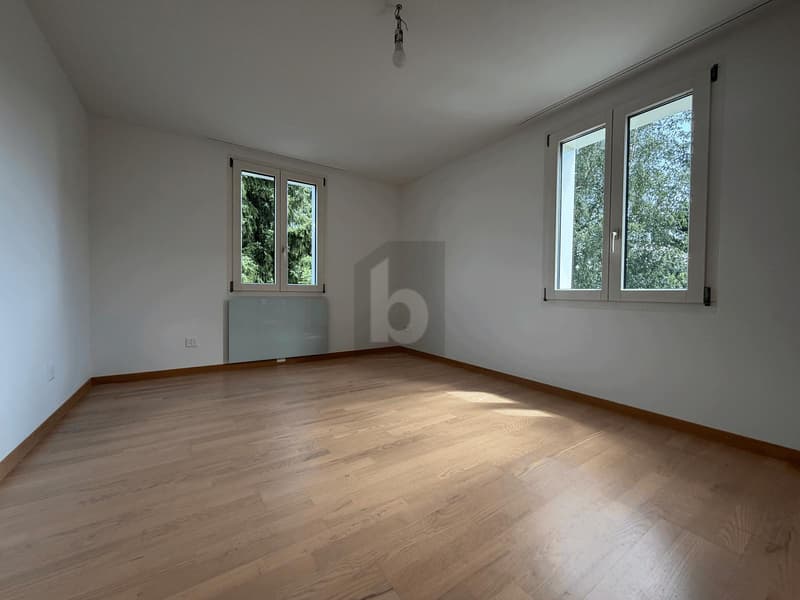 RUHIGE LAGE, SONNIGER BALKON, BLICK AUF RIGI (4)