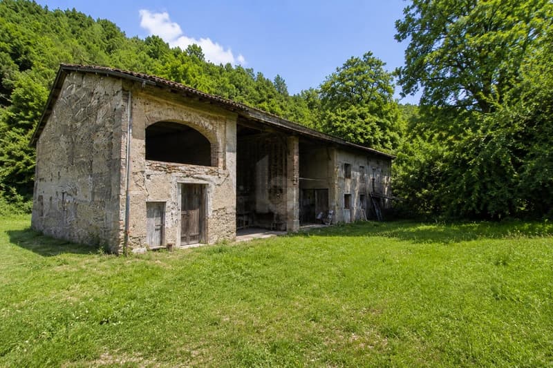 TRA LA NATURA E TRANQUILLITA, DA RISTRUTTURARE (1)