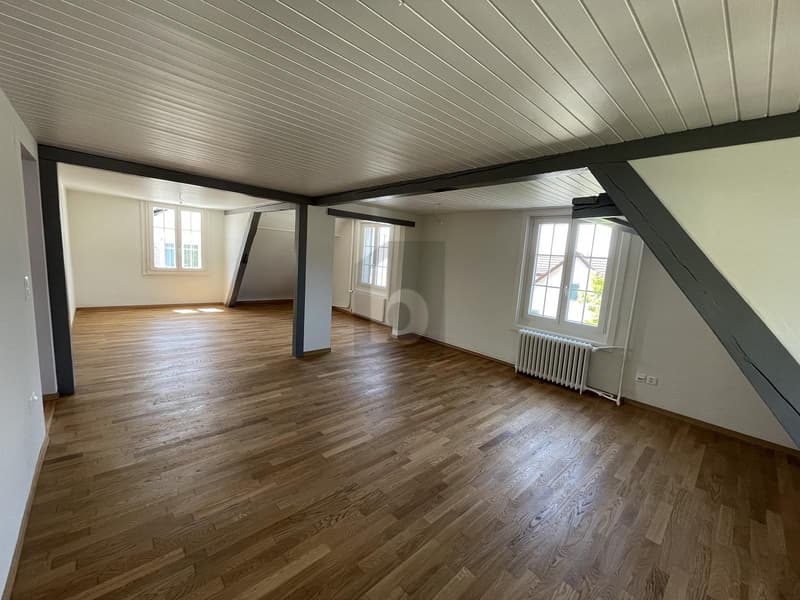 MODERNER TRAUM MIT LUXURIÖSEM AMBIENTE (1)