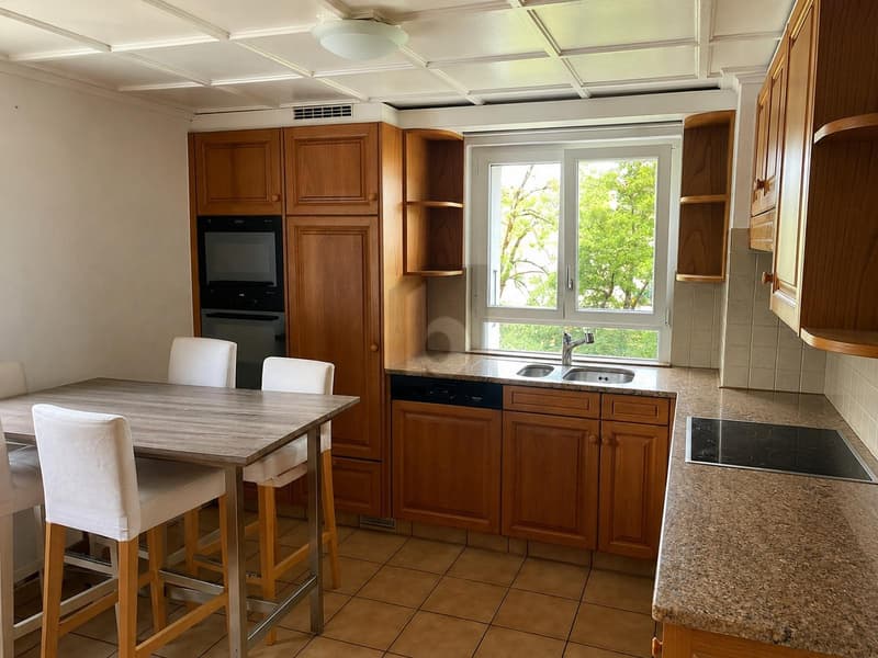 MAISON FAMILIALE AVEC JARDIN ET DOUBLE GARAGE (4)