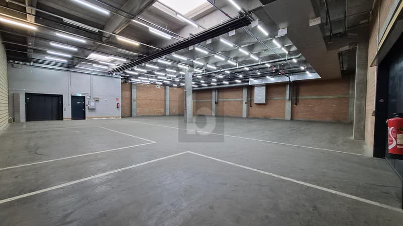 3 MONATE GRATIS & PREISVORTEIL VON 50% IM 2026 (1)