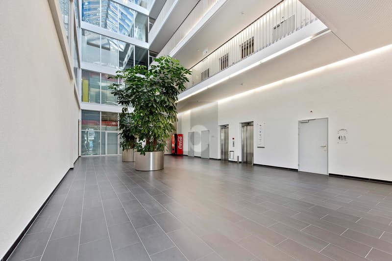 RIESIGE PRODUKTIONSHALLE IDEAL FÜR IHR BUSINESS (3)