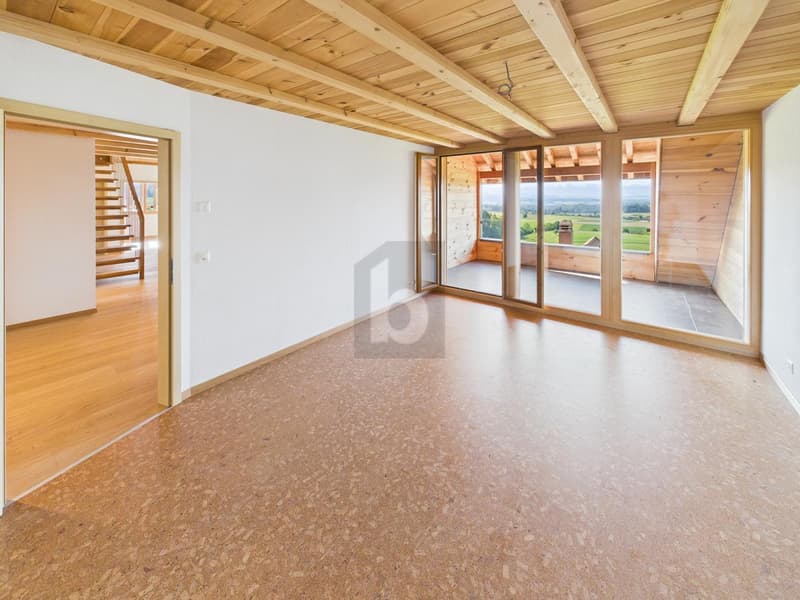 NATURNAH,GROSSZÜGIG MIT GALERIE (3)