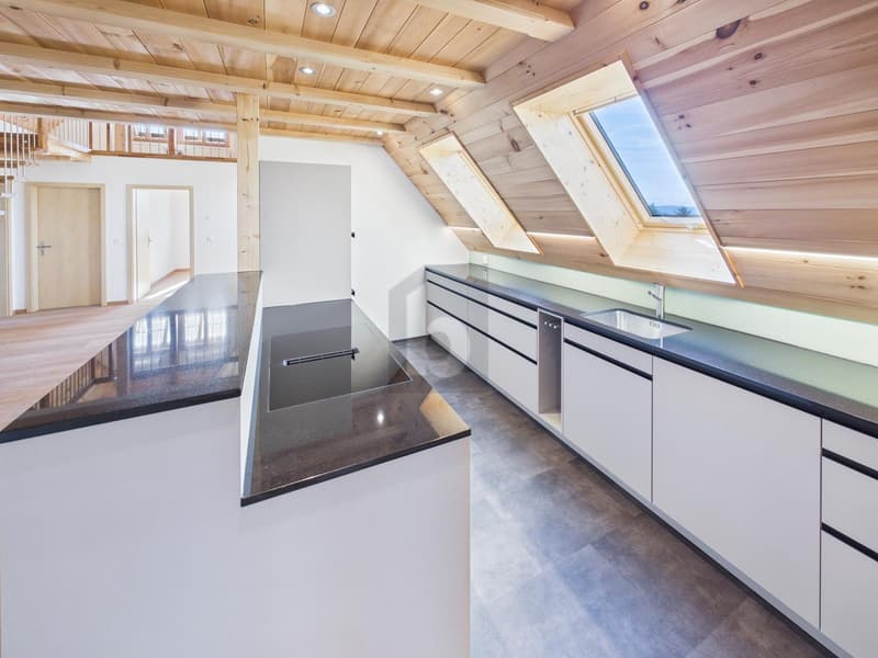 NATURNAH,GROSSZÜGIG MIT GALERIE (4)
