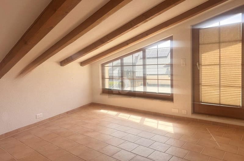 INDÉPENDANT AVEC GRANDE TERRASSE (4)