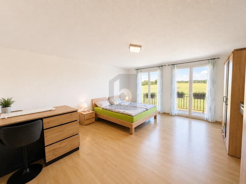 GROSSZÜGIG MIT GARTEN UND BALKON (4)