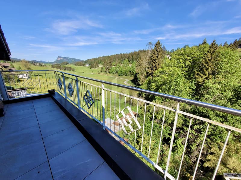 SPACIEUX DUPLEX AVEC BALCON (1)