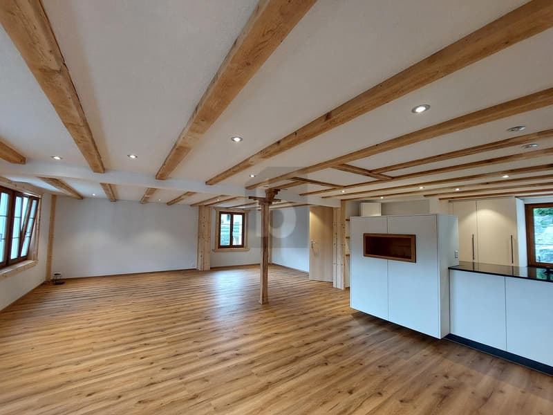 MODERNE, RENOVIERT UND GROSSZÜGIG (3)