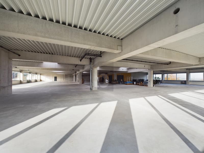 RIESIGE MONTAGEHALLE, IDEAL FÜR IHRE UNTERNEHMUNG (4)