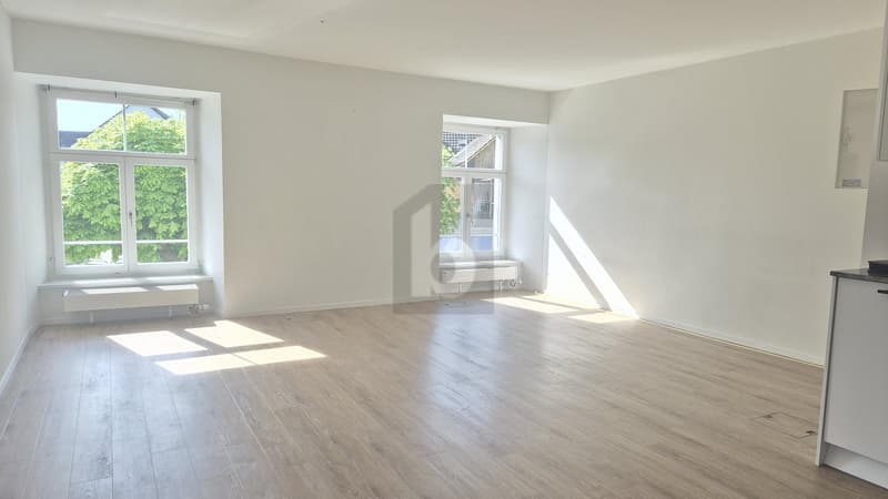 GROSSZÜGIG UND LICHTDURCHFLUTET (3)