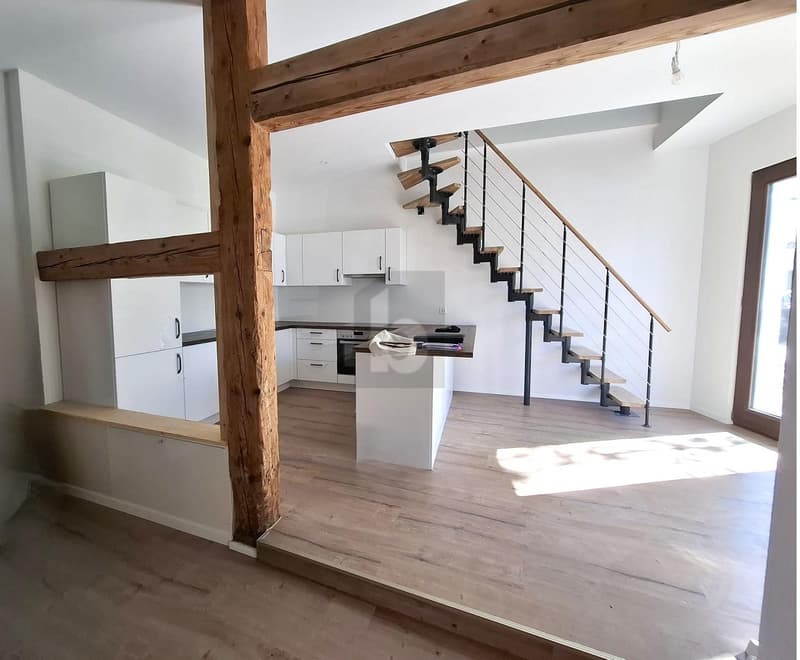 CHALEUREUR, MODERNE, SPACIEUX (2)