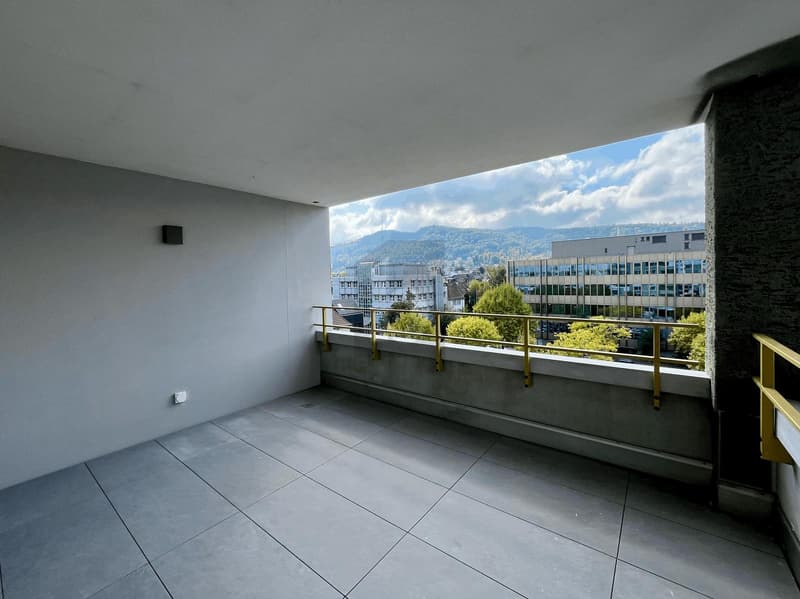 ERSTBEZUG: GROSSER BALKON, SICHT AUF DEN ÜETLIBERG (1)