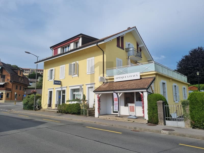 GRAND ESPACE, ÉNORMÉMENT DE CACHET (5)