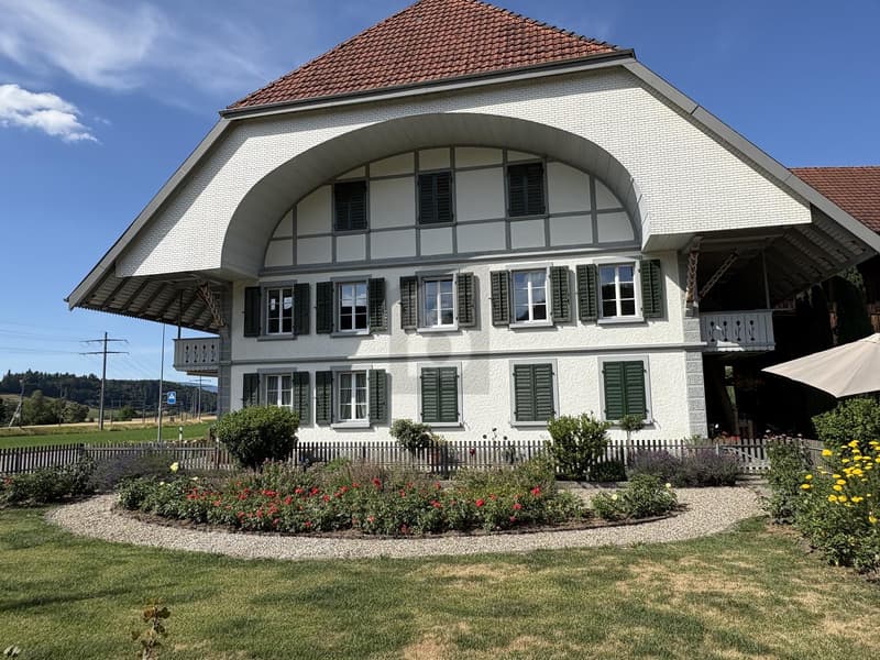 ERSTBEZUG NACH HOCHWERTIGER SANIERUNG (5)