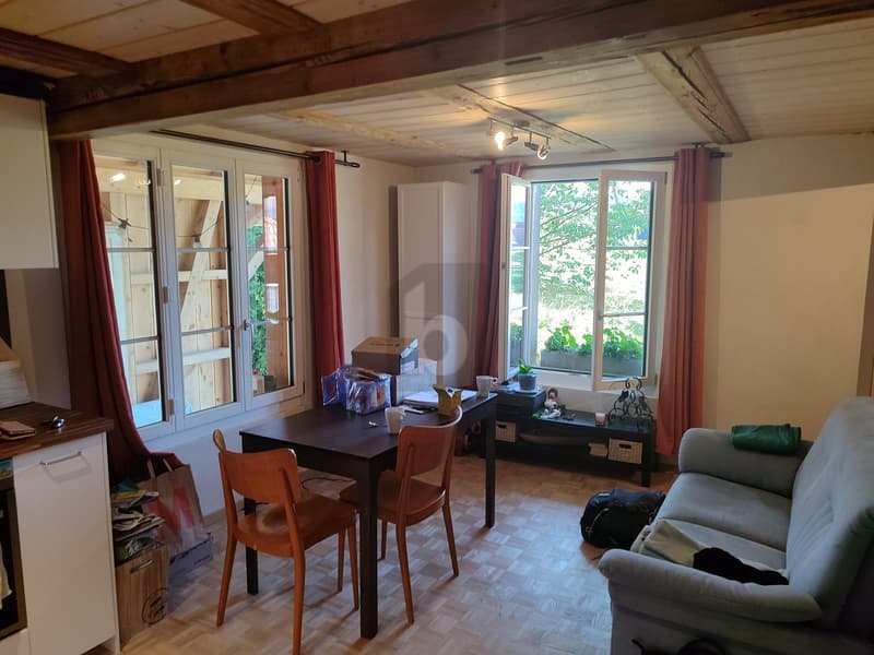 CHARMANT, NATURNAH, MIT VIEL HOLZ (2)