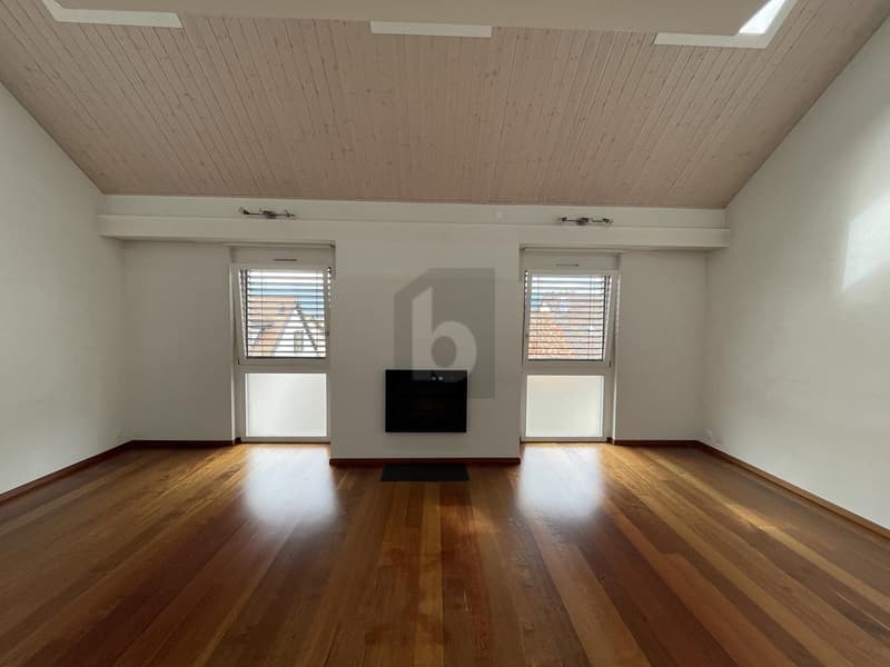 PRIX TOP! LUXUEUX SUR TROIS ÉTAGES (2)