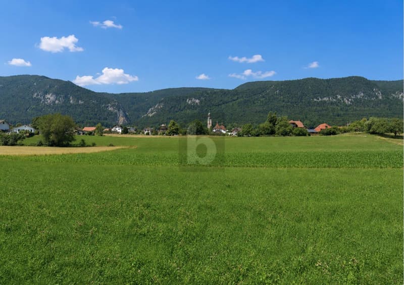 RUHEPOL MIT JURA- UND ALPENPANORAMA (1)