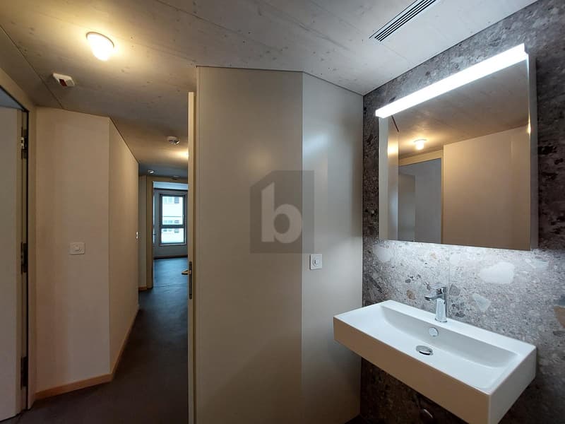 DESIGN, NATUR UND ALPINE ELEGANZ (4)