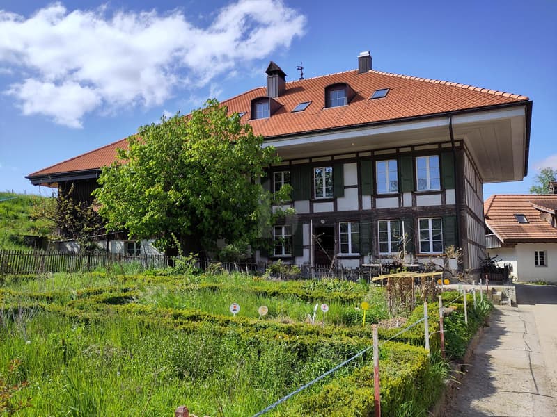 TOTALSANIERT IN EHEMALIGER MÜHLE (1)