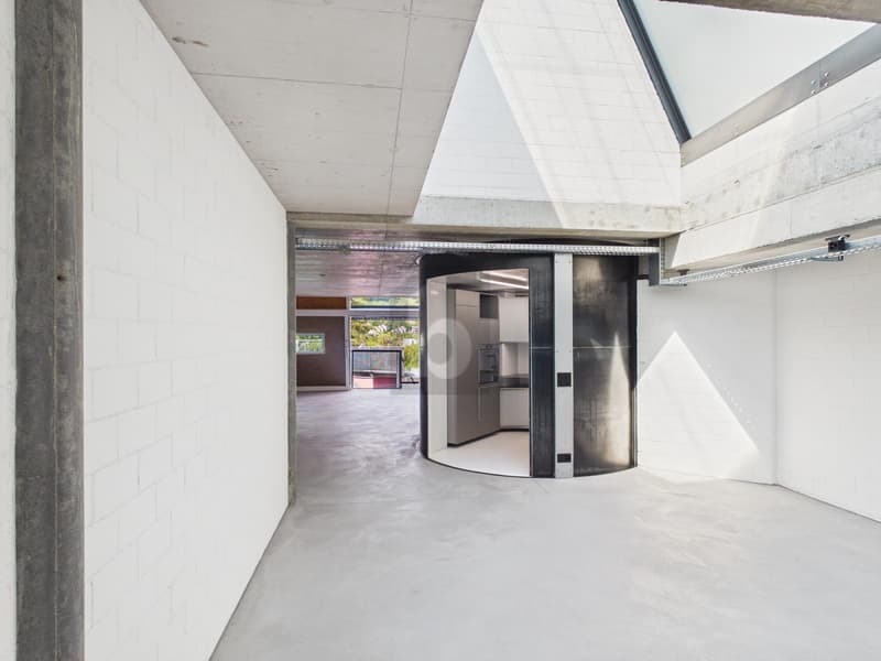 PURISTISCHES LOFT-FEELING MIT TERRASSE (2)