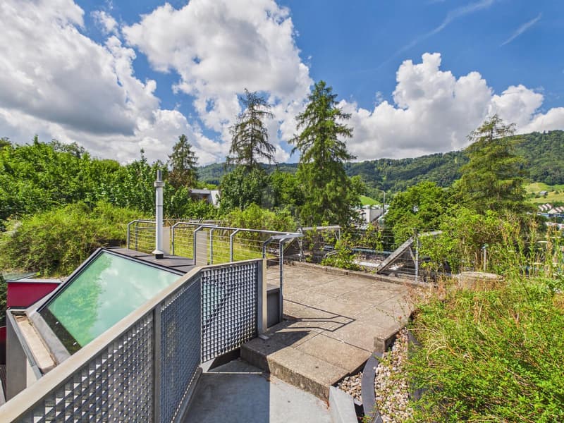 PURISTISCHES LOFT-FEELING MIT TERRASSE (4)