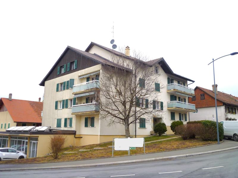 4 LOTS LOUÉS, RENDEMENT IMMÉDIAT ! (1)