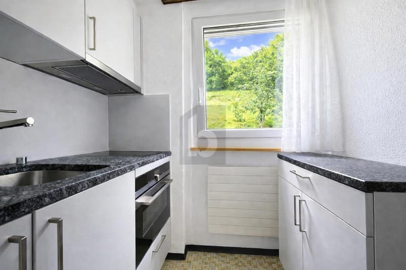 PARFAIT COMME PIED-À-TERRE OU À BUT DE RENDEMENT (3)