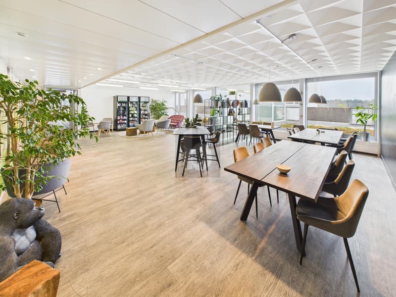MODERNES BÜRO AN ZENTRALER LAGE 3.01 (5)