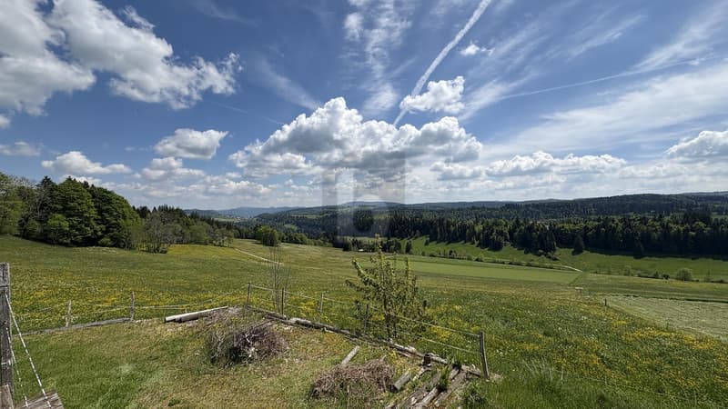 UNE VUE MAGNIFIQUE SUR LA NATURE (4)
