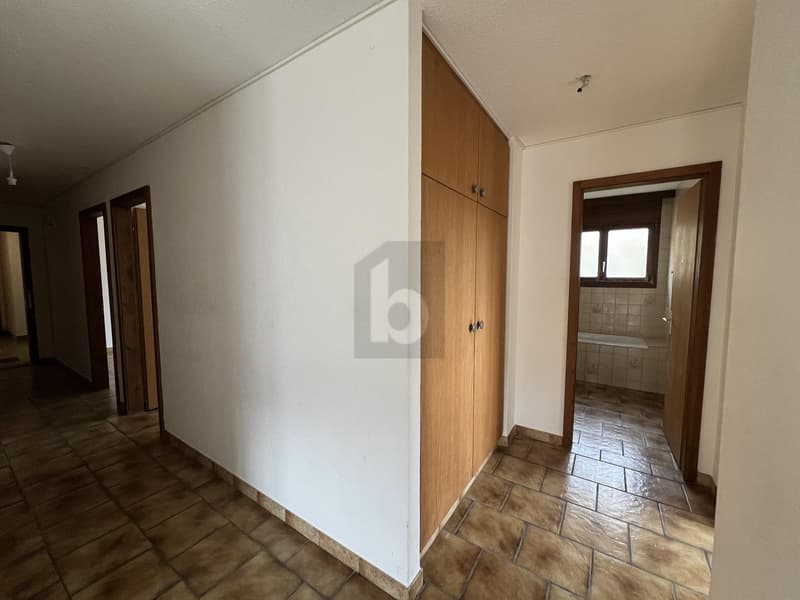 APPARTEMENT PRATIQUE ET LUMINEUX À CHEVENEZ (5)