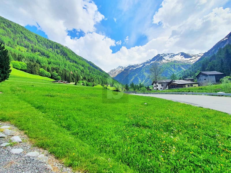 TERRAINS CONSTRUCTIBLES, AGRICOLES ET FORESTIERS (3)