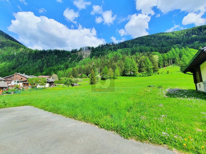 TERRAINS CONSTRUCTIBLES, AGRICOLES ET FORESTIERS (2)